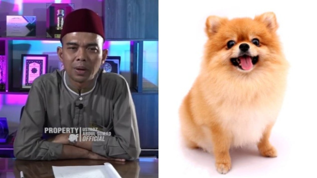 Bukan hanya Anjing, Kasih Makan Hewan ini Jadi Jaminan Penolong di Akhirat Kelak Kata Ustaz Abdul Somad
            - galeri foto