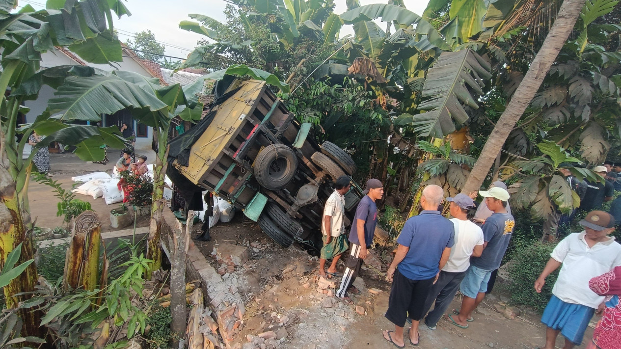 Kecelakaan Beruntun Bus dan 2 Truk di Lumajang, Sopir Truk Tewas, 3 Luka-luka
            - galeri foto