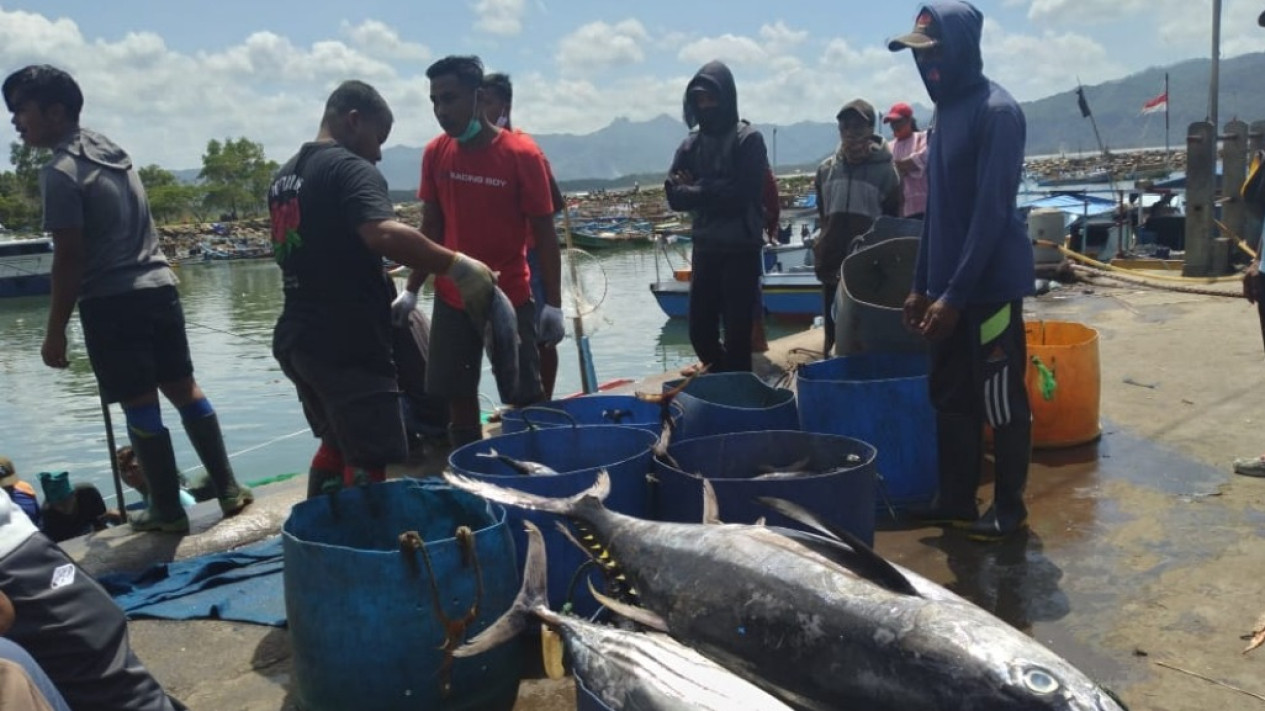 Pemkab Pacitan Alokasikan Jamsostek bagi Ribuan Nelayan untuk Perlindungan dan Kesejahteraan
            - galeri foto