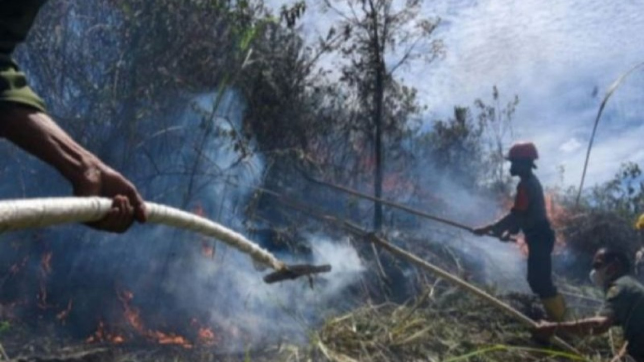 BBMKG: Terpantau 28 Titik Panas di Sumatera Utara
            - galeri foto