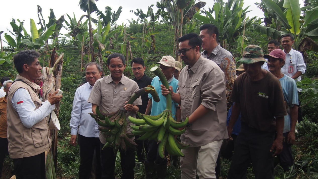 Menteri Kehutanan Sebut Program Makan Bergizi Gratis akan Gunakan Produk Perhutanan Sosial
            - galeri foto