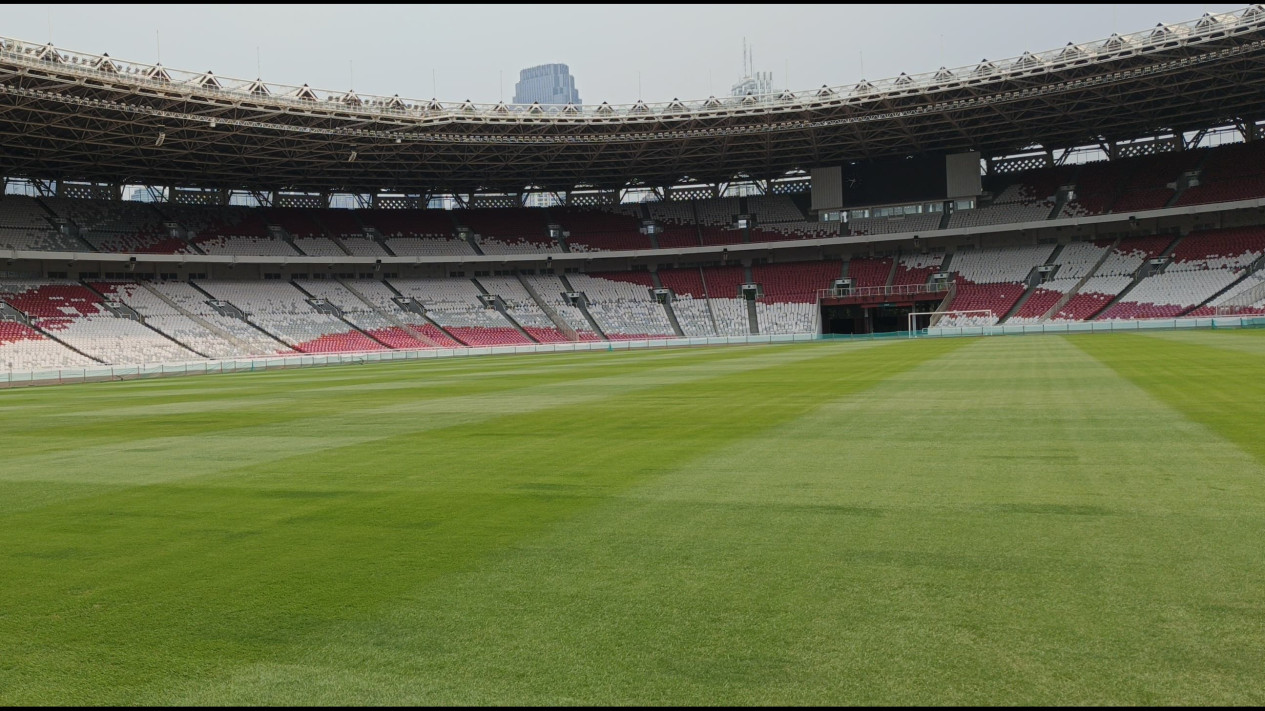 Kondisi Rumput Stadion GBK Jelang Timnas Indonesia Hadapi Jepang dan Arab Saudi di Kualifikasi Piala Dunia 2026, Garuda Bisa Main Maksimal
            - galeri foto