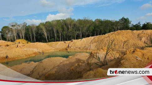 Nine Tin Indoresources Suplai Timah ke Smelter Milik Hashim Djojohadikusumo Senilai Rp468 Miliar