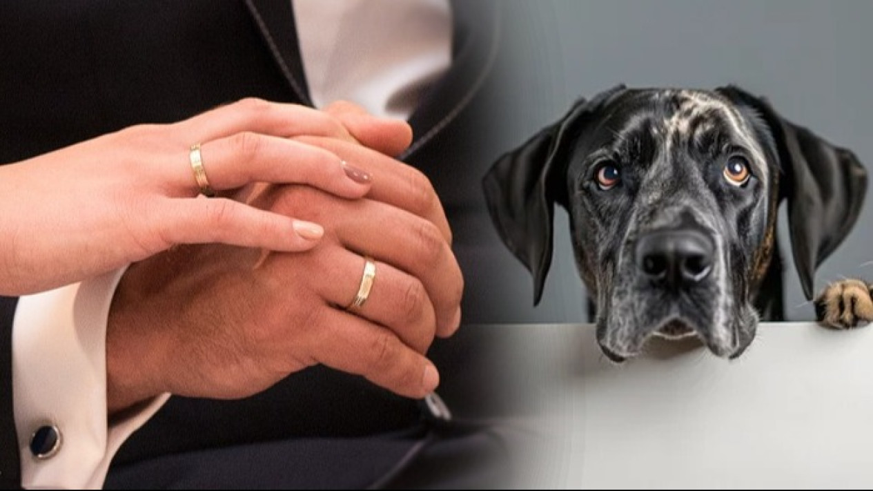 5 Perkawinan Manusia dengan Binatang, Ada Anjing hingga Kuda Poni, Meski  Tak Masuk Akal tapi Pernah Terjadi