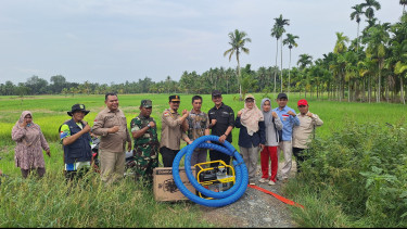 Peningkatan Produktivitas Padi dan Indeks Pertanaman di Desa Rokan Baru Pesisir Berkat Program Optimalisasi Lahan Kementerian Pertanian