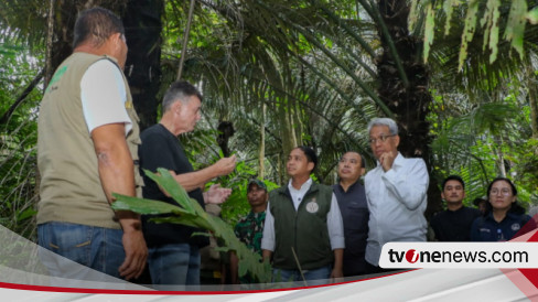 Menhut Dukung Target Presiden Prabowo Dalam Swasembada Pangan Dan ...