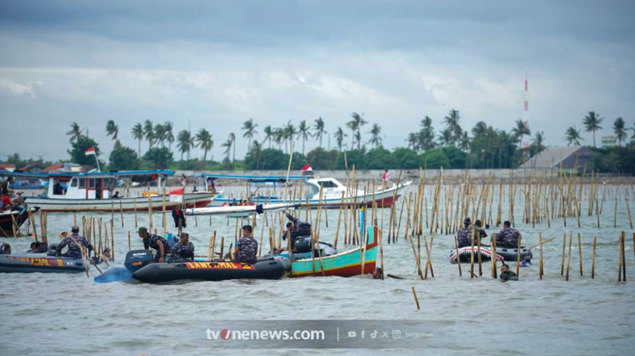 Zig Zag Demi Status PSN