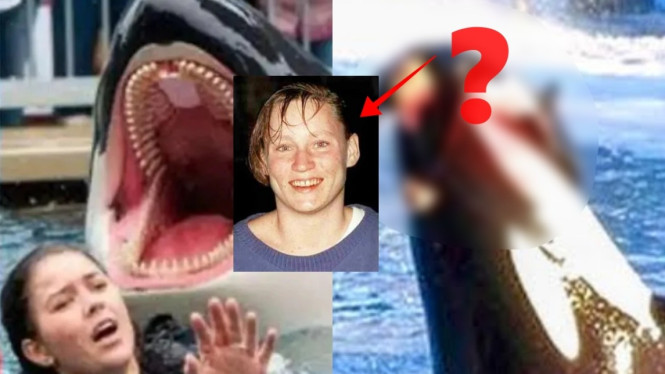 Bukan Hoaks, Kejadian Seperti Jessica Radcliffe Pernah Terjadi di Dunia  Nyata, Sebelum Meninggal Tubuhnya di... | Halaman 3